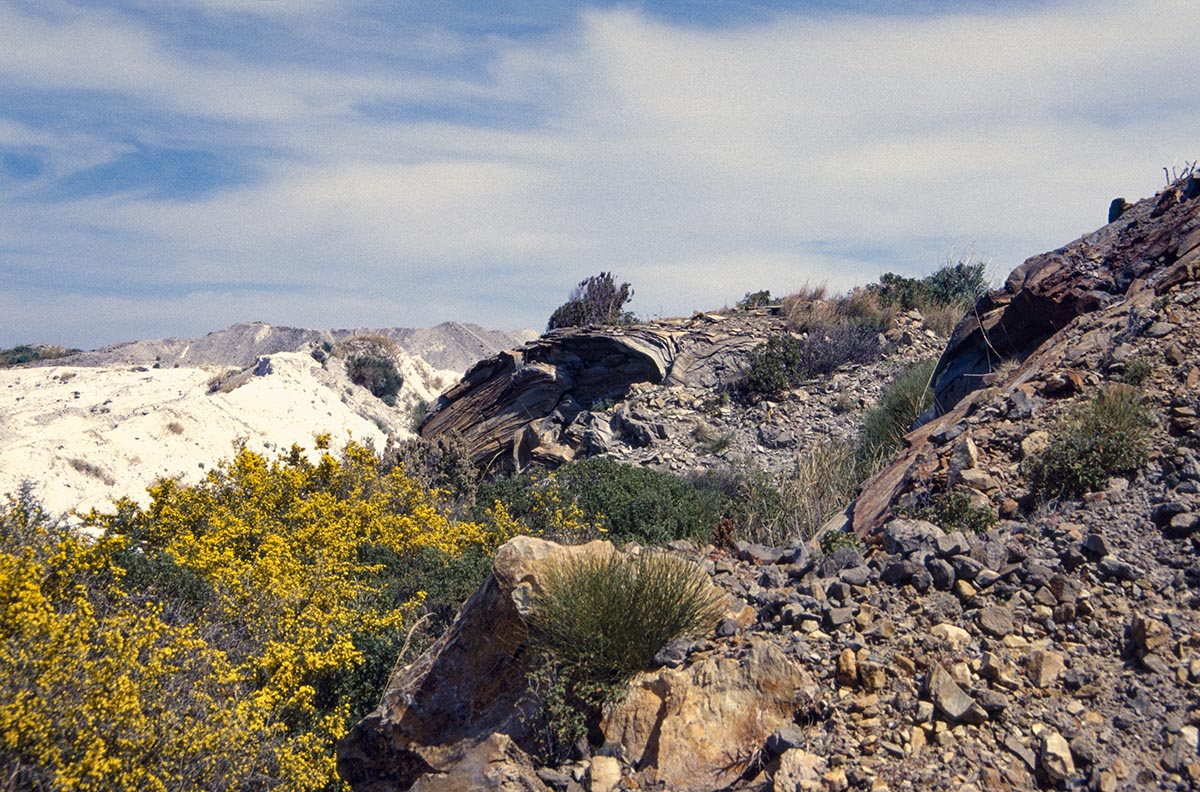 Rocche Rosse